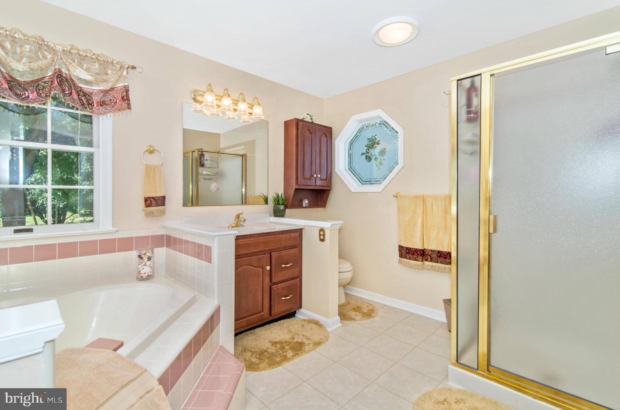 2203 Banner Hill Road Frederick, MD 21702 - Photo 18 of 30 Bath (Master)