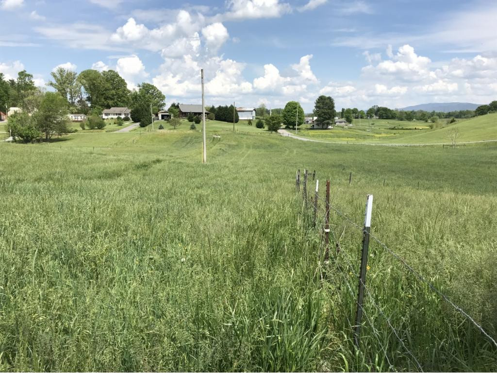 0 Barren Road, Unit 35 Chuckey, TN 37641 - Photo 3 of 4 Photo 3