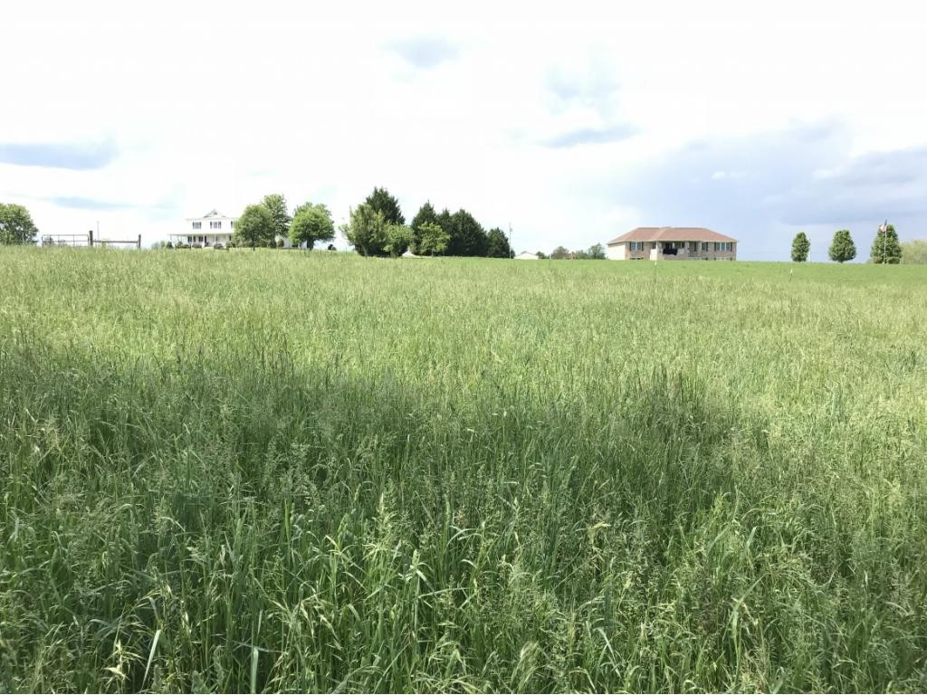0 Barren Road, Unit 35 Chuckey, TN 37641 - Photo 4 of 4 Photo 4