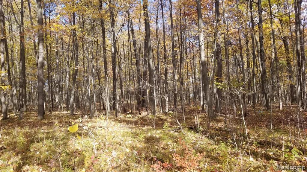 6575 East Clyde Road Howell, MI 48855 - Photo 7 of 14