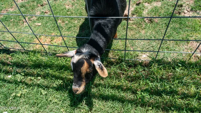 $1,430,000 | 29617 West Eagle Drive, Palo Verde, AZ 85343