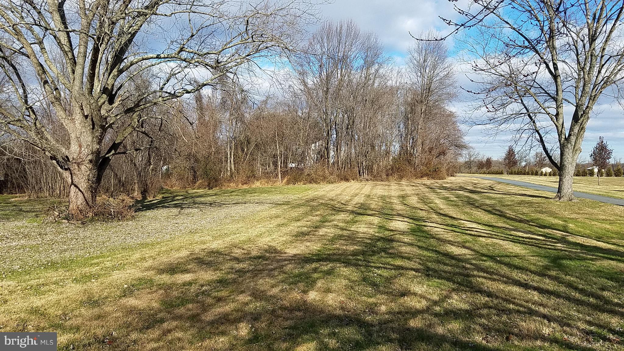5781 Telegraph Road Elkton, MD 21921 - Photo 8 of 20 Back Yard