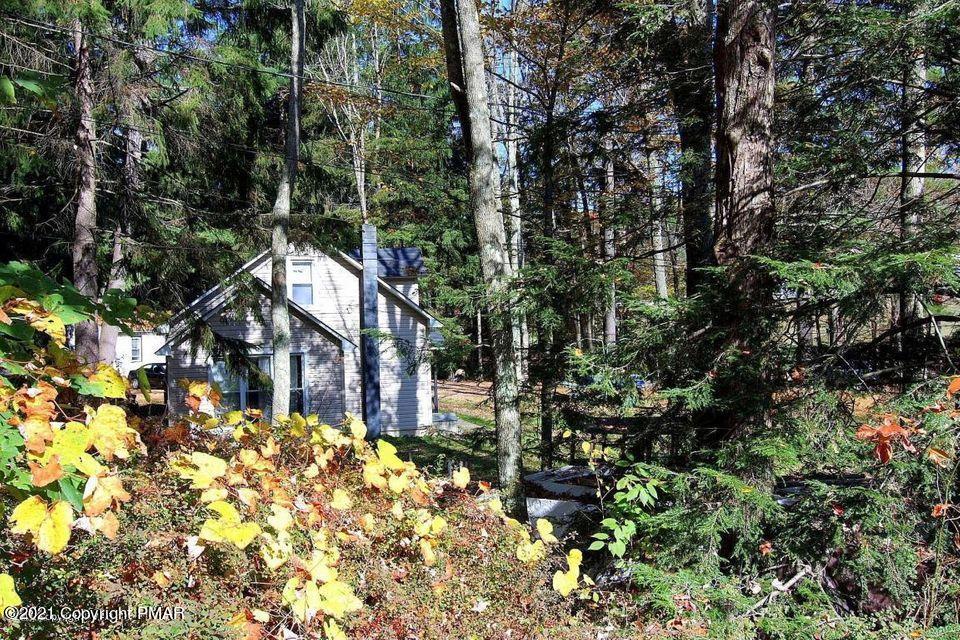 591-601 Pleasant Ridge Road Cresco, PA 18326 - Photo 12 of 16 a view of a yard with plants and tree