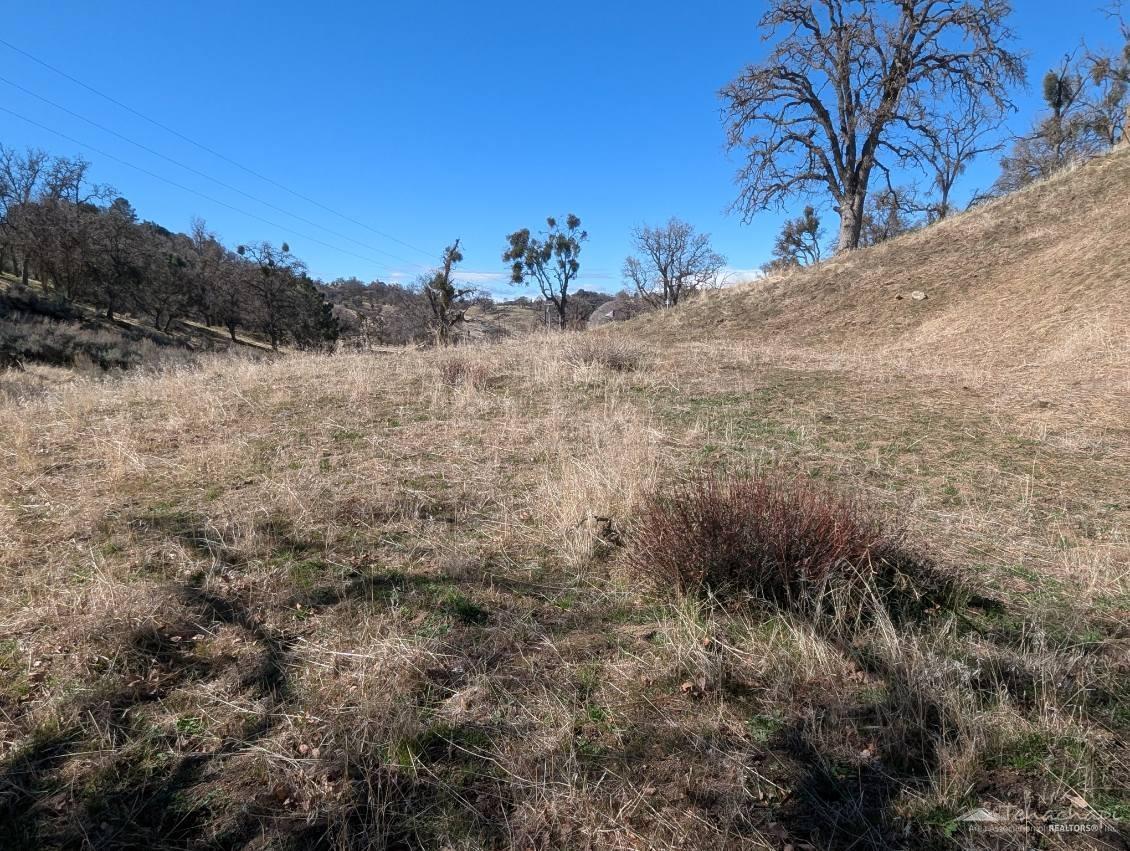 0 Angus Court Tehachapi, CA 93561 - Photo 3 of 10 Gallery Image 3