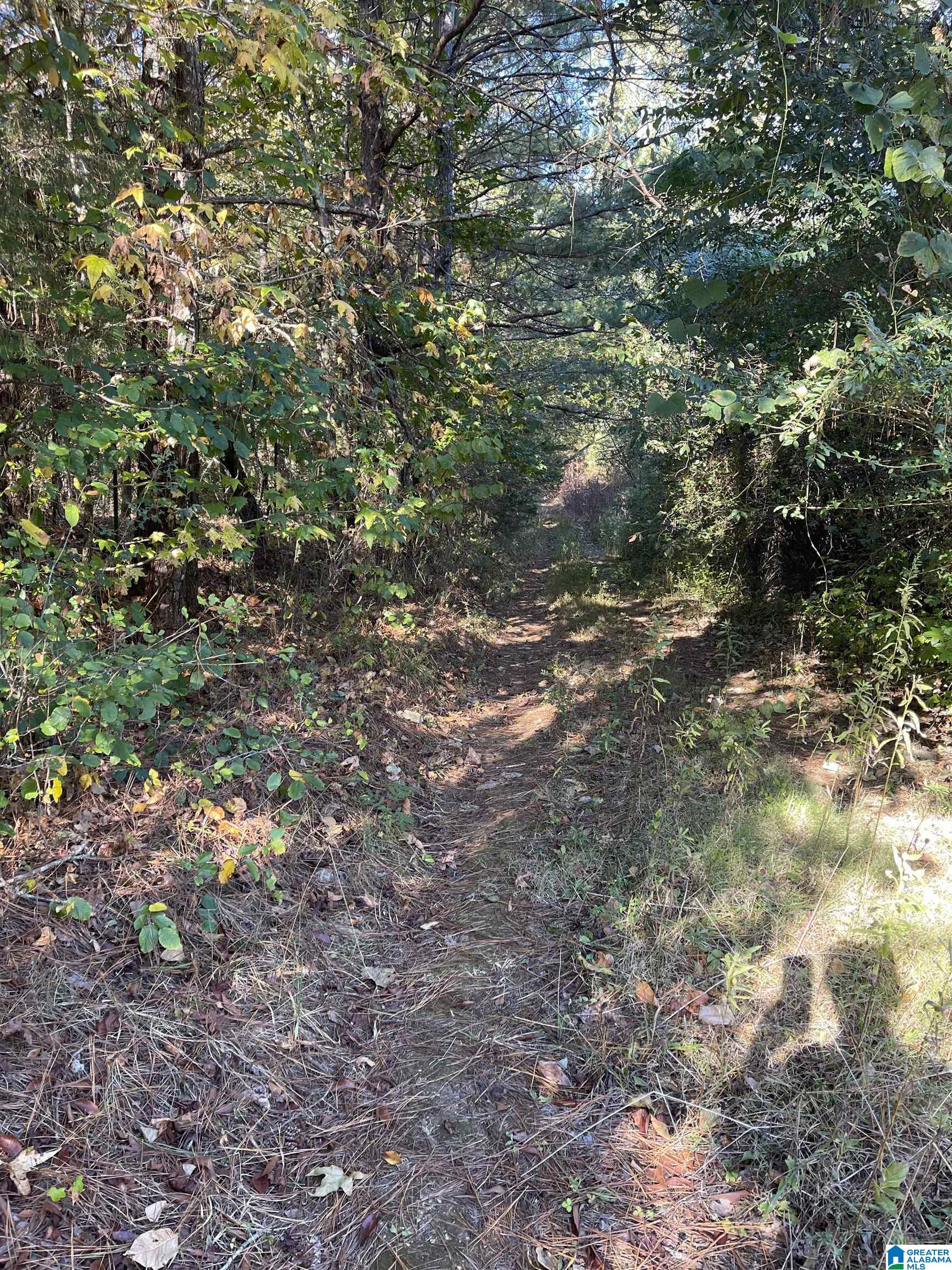 1981 Mt View Road Wellington, AL 36279 - Photo 2 of 2
