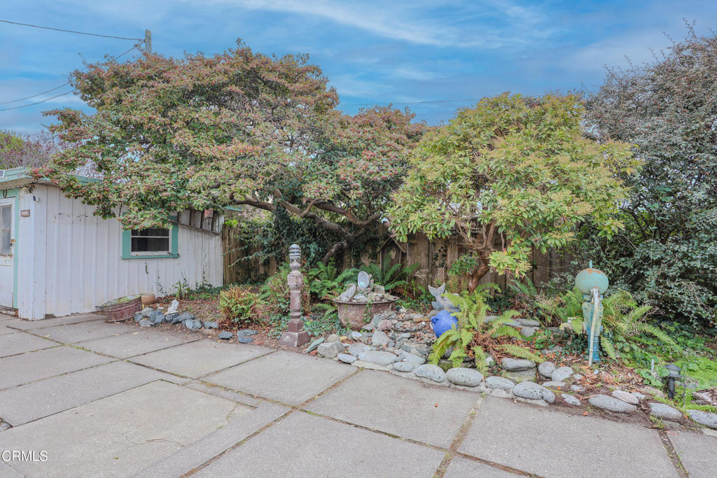 826 Cedar Street Fort Bragg, CA 95437 - Photo 29 of 42 a view of a backyard with plants and a large tree