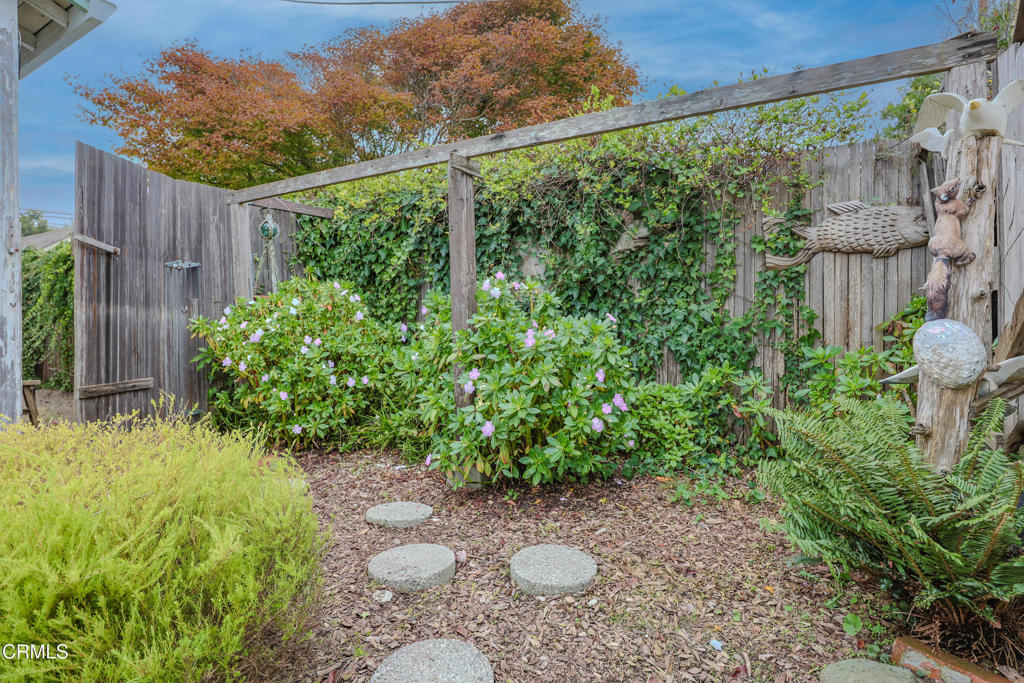 826 Cedar Street Fort Bragg, CA 95437 - Photo 31 of 42 a view of a backyard with potted plants