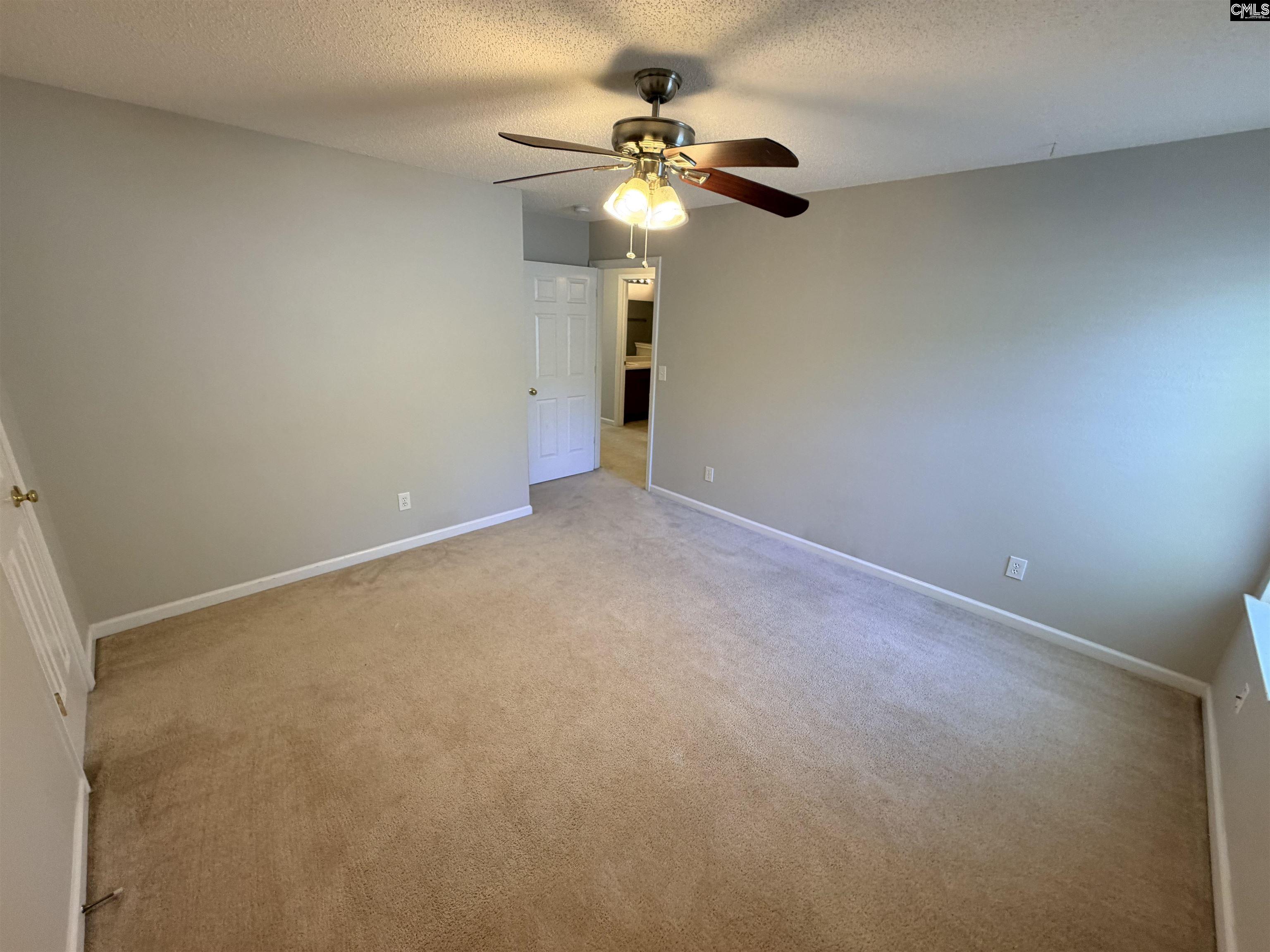 5 Redbrush Court Chapin, SC 29036 - Photo 19 of 36