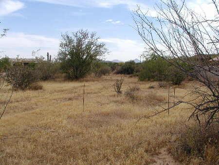 18947 East Lazo Court, Unit 457 Rio Verde, AZ 85263 - Photo 1 of 1 Primary Photo