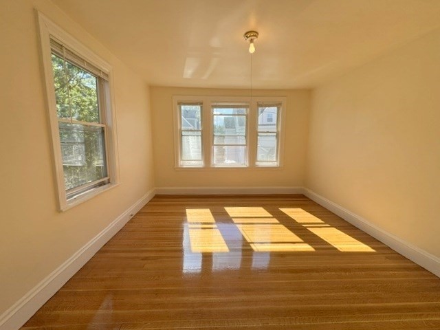 29 Newcastle Road, Unit 2 Boston, MA 02135 - Photo 7 of 17 Gallery Image 7