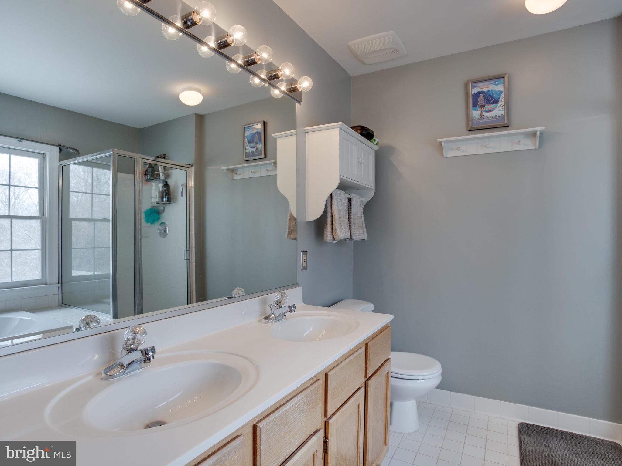 3235 Breckenridge Way Riva, MD 21140 - Photo 29 of 63 a bathroom with a sink toilet and shower