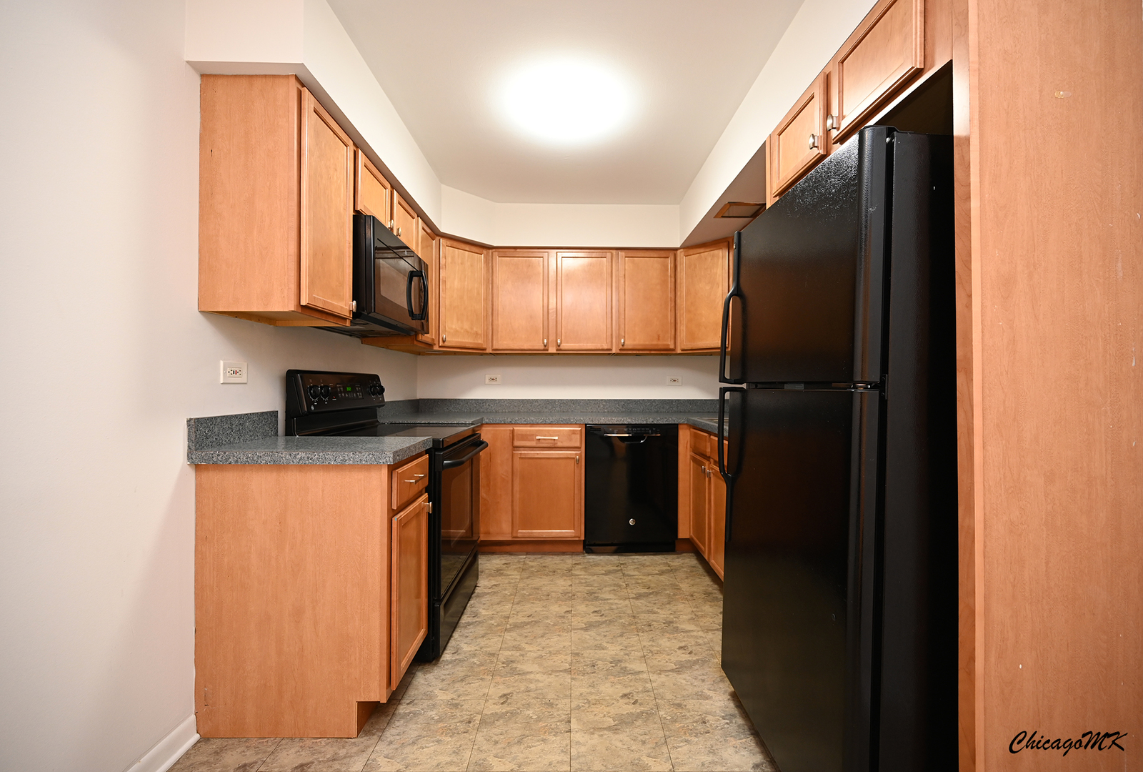 2230 South Goebbert Road, Unit 339 Arlington Heights, IL 60005 - Photo 11 of 38 a kitchen with stainless steel appliances granite countertop a refrigerator and a sink