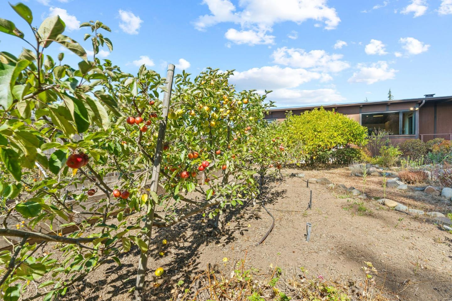 7120 Viewpoint Road Aptos, CA 95003 - Photo 16 of 61 Gallery Image 16