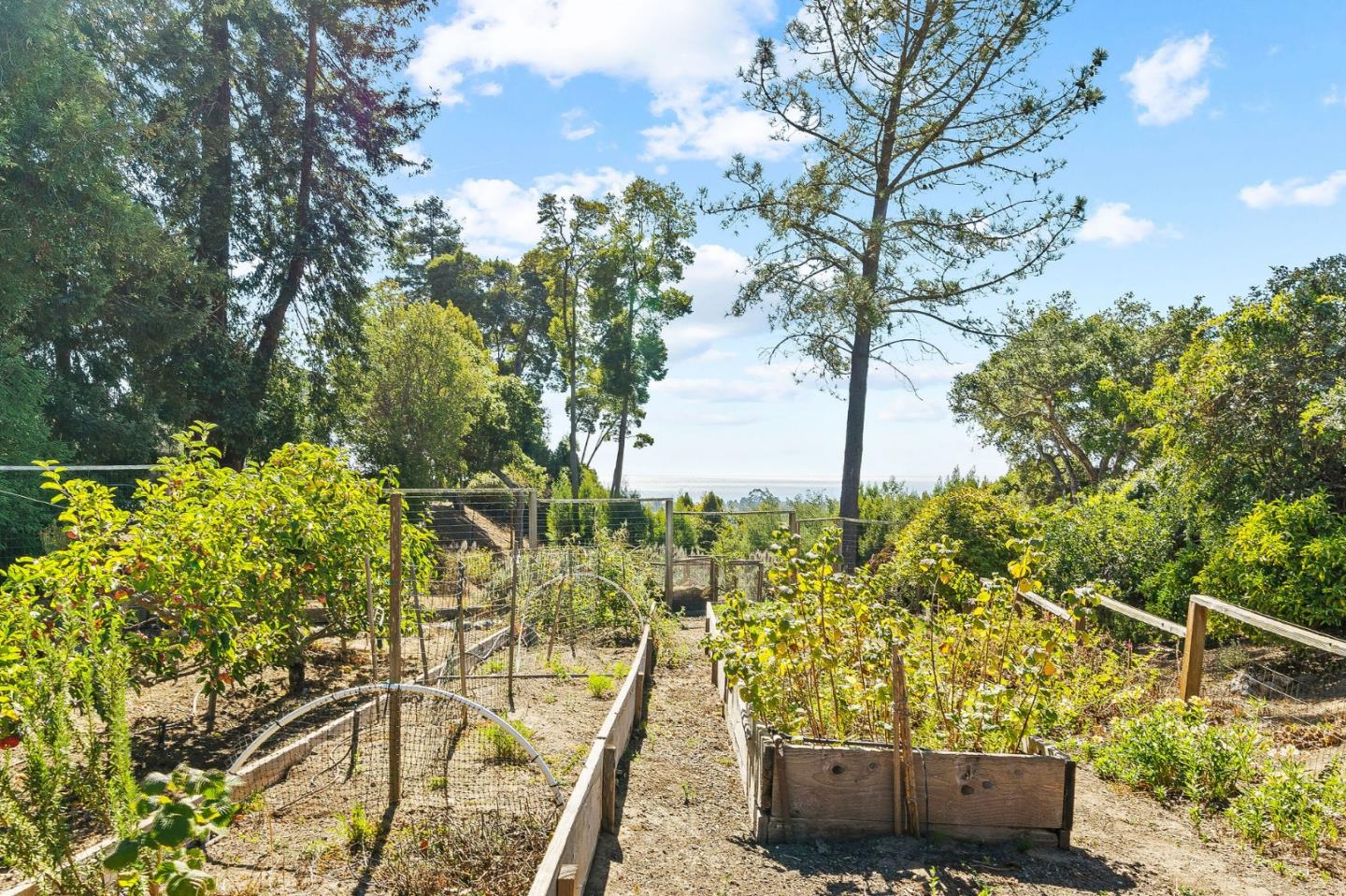 7120 Viewpoint Road Aptos, CA 95003 - Photo 52 of 61 Gallery Image 52
