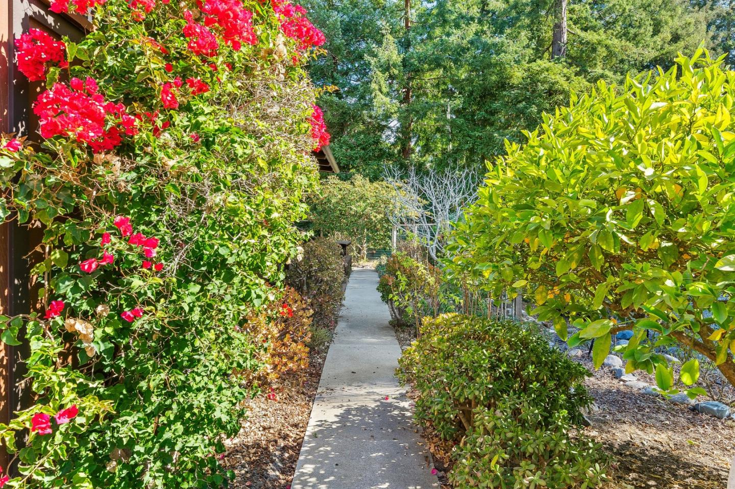 7120 Viewpoint Road Aptos, CA 95003 - Photo 9 of 61 Gallery Image 9