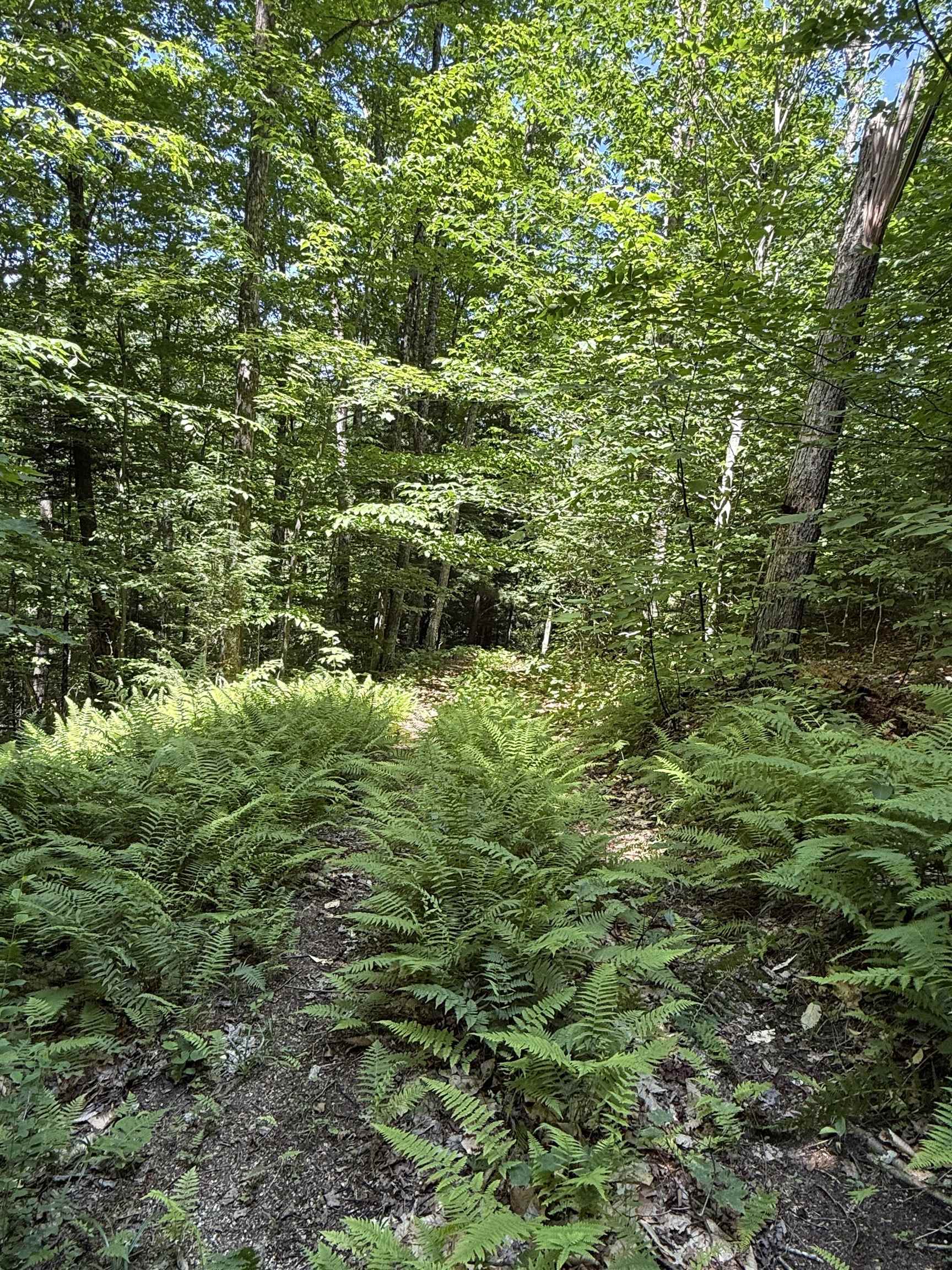392 Sicard Road Randolph, VT 05060 - Photo 39 of 45