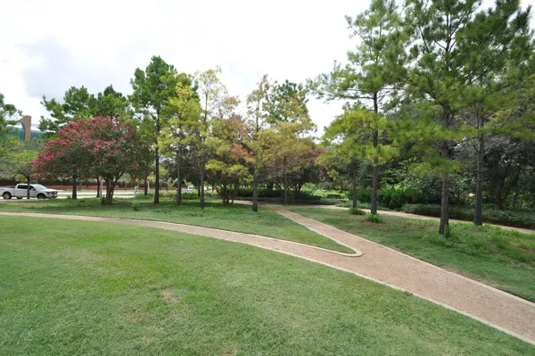 $1,650 | 3231 Allen Parkway, Unit 6102, Houston, TX 77019