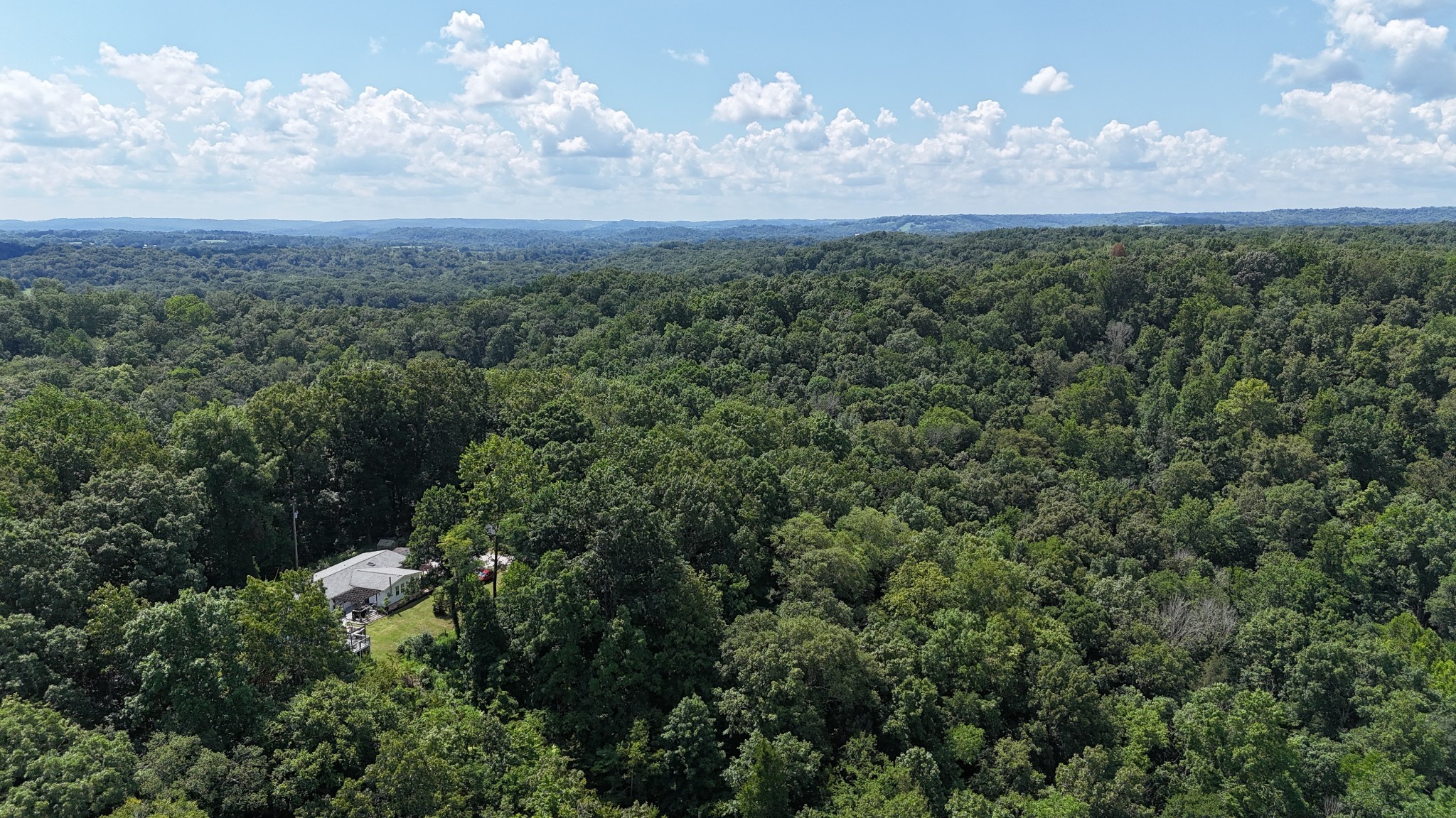 2186 Scribners Mill Road Culleoka, TN 38451 - Photo 7 of 32