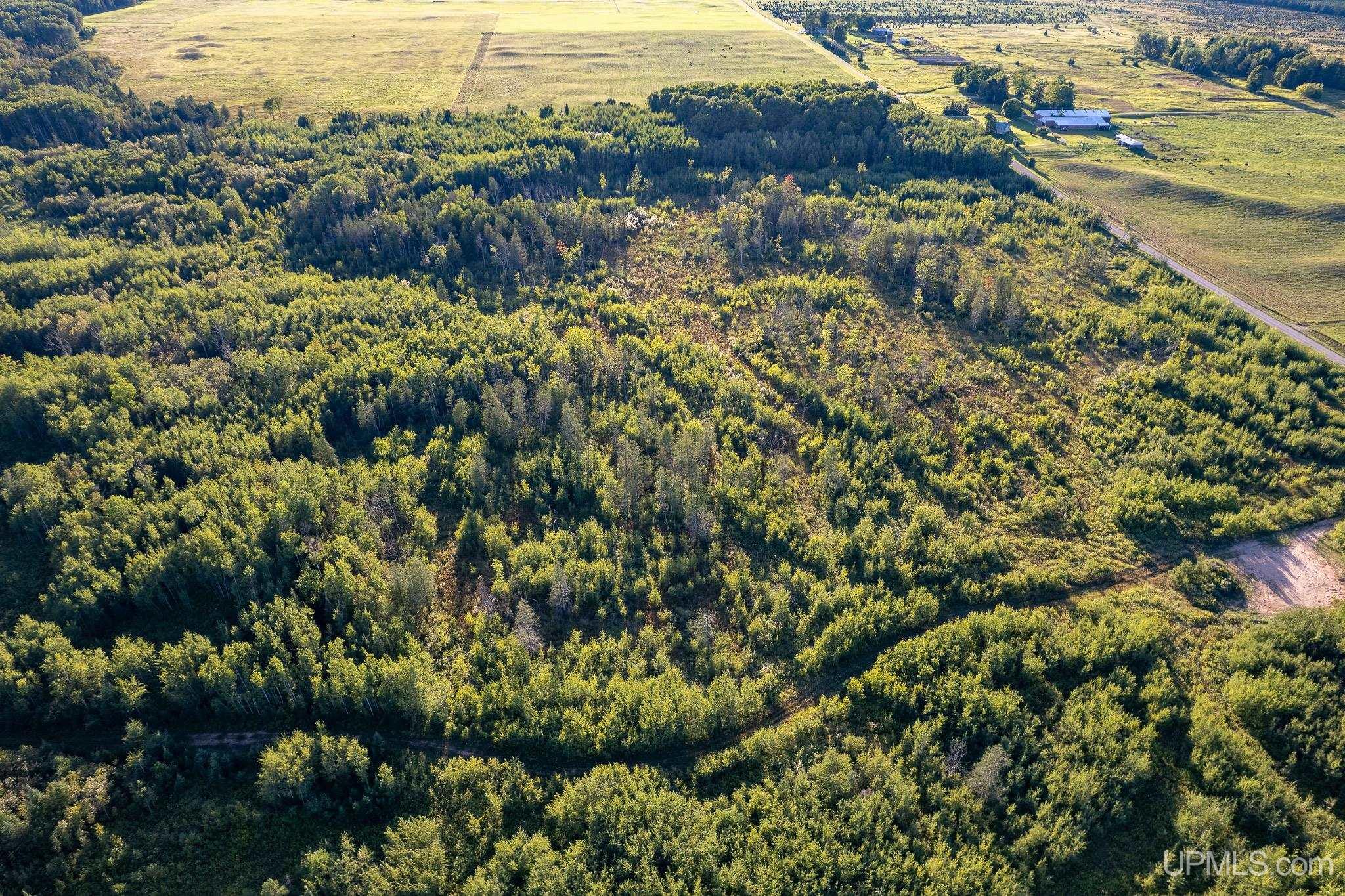 Tbd 19th Lane Escanaba, MI 49829 - Photo 7 of 16