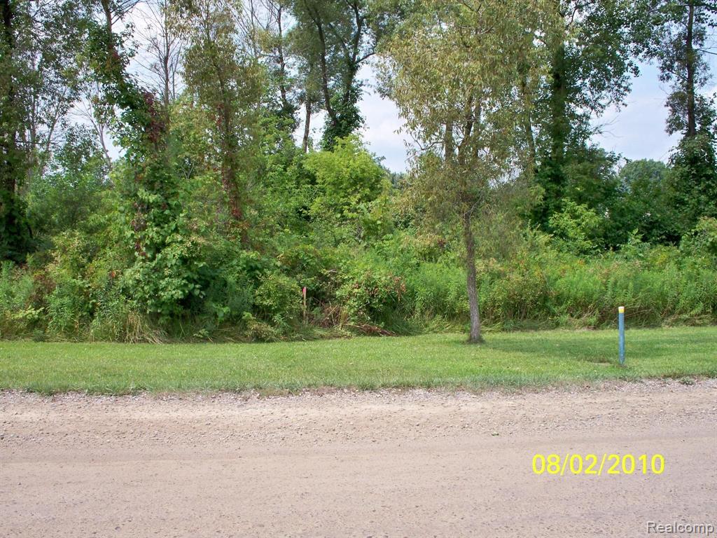 0 McKay Road Romeo, MI 48065 - Photo 3 of 24