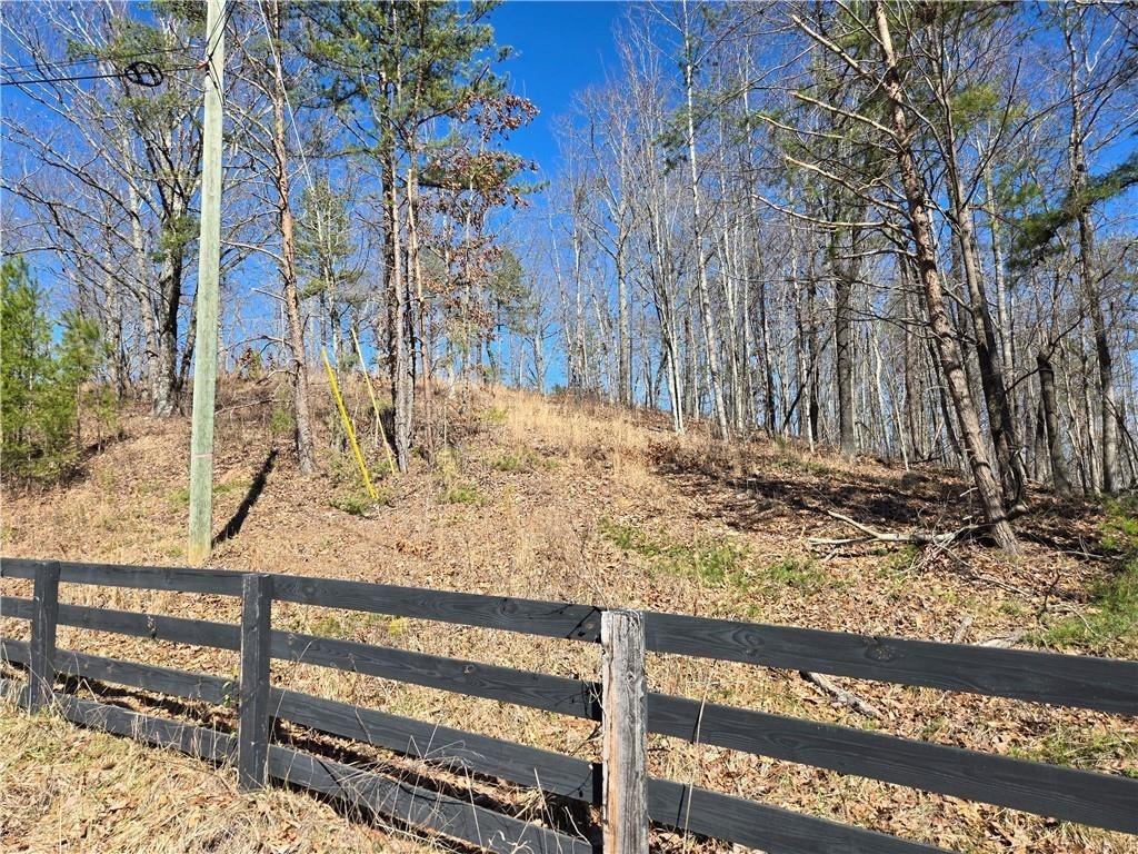 0 Brushy Mountain Road Rockmart, GA 30153 - Photo 3 of 10 a view of a yard with wooden fence