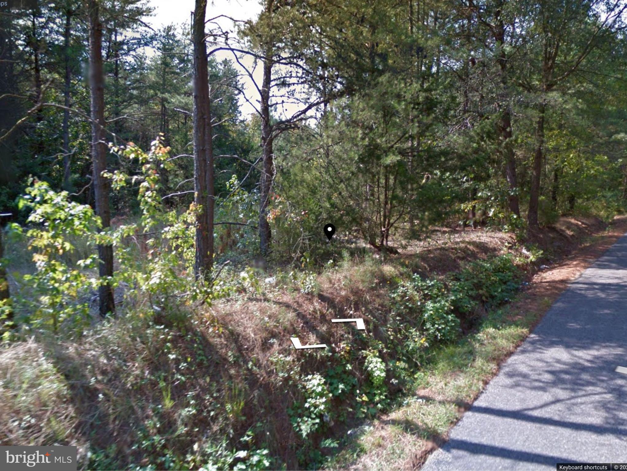 Lot#10 Long Branch Road Woodford, VA 22580 - Photo 5 of 6 a view of a forest with trees