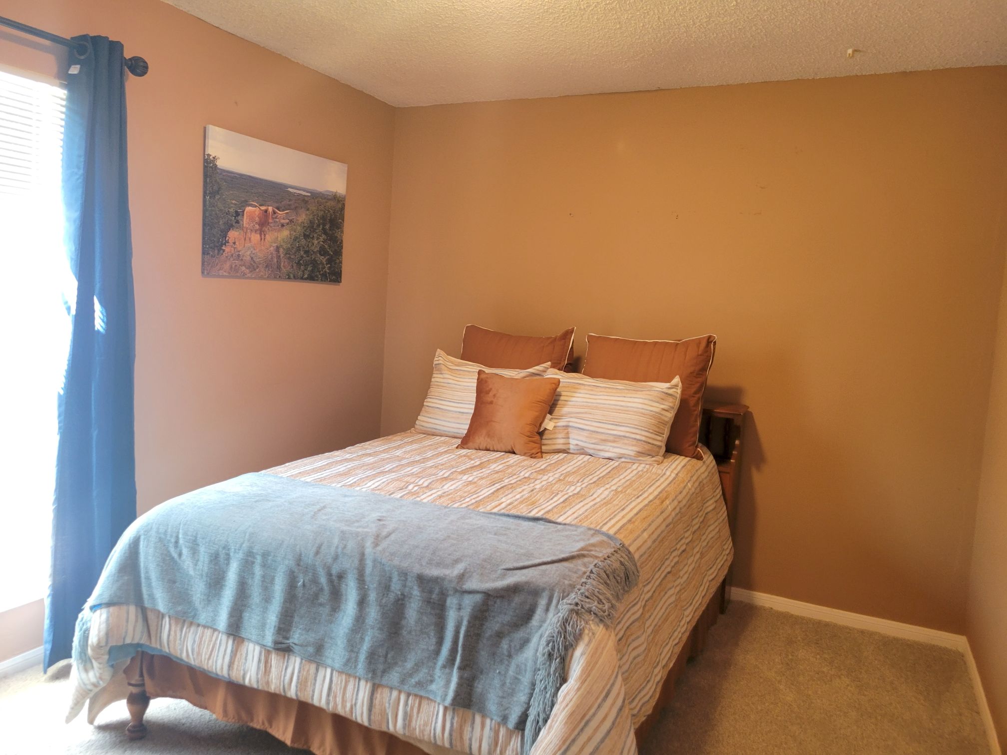 902 South Riviera Circle Cedar Park, TX 78613 - Photo 17 of 22 Bedroom 3, with a full bath between these two bedrooms