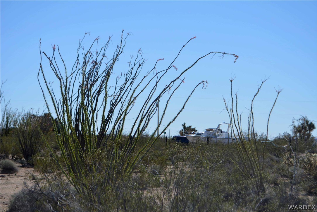 Lot K7 Cameron Road Yucca, AZ 86438 - Photo 12 of 23