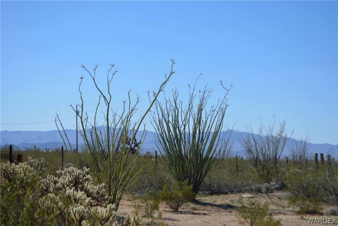 Lot K7 Cameron Road Yucca, AZ 86438 - Photo 15 of 23
