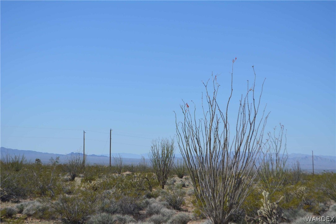 Lot K7 Cameron Road Yucca, AZ 86438 - Photo 17 of 23