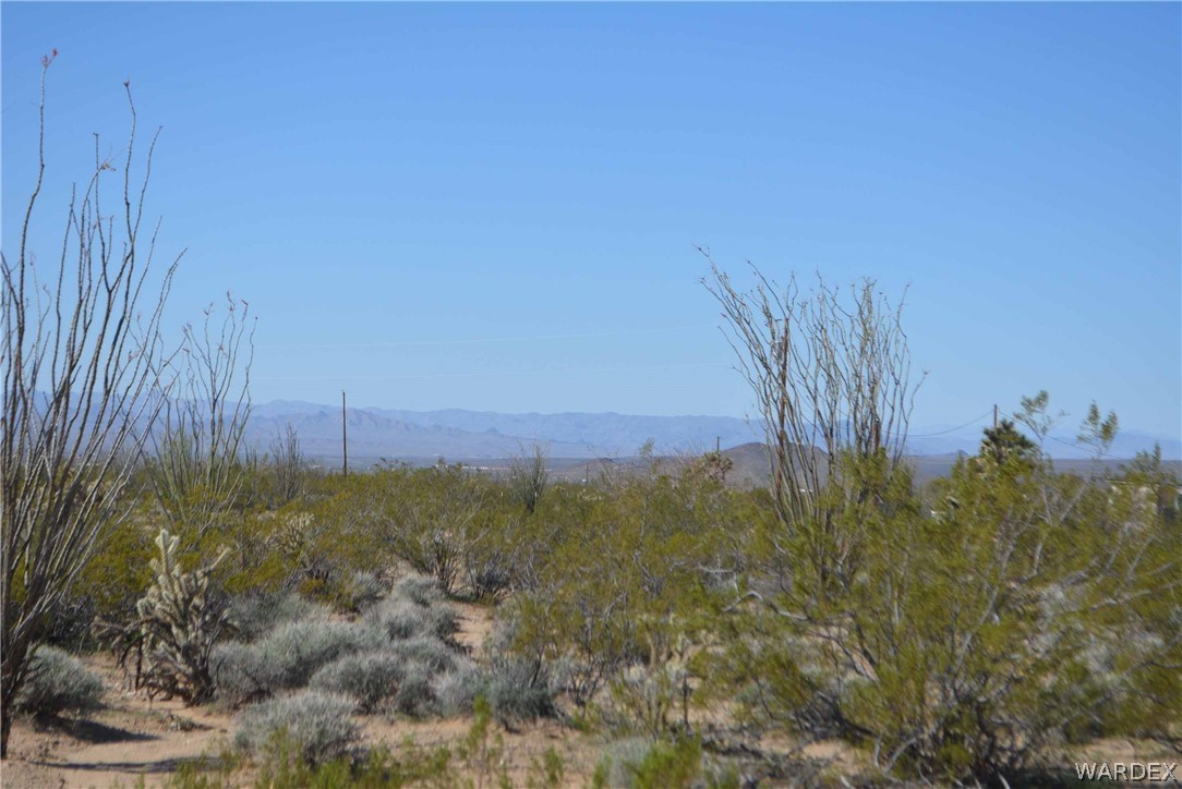 Lot K7 Cameron Road Yucca, AZ 86438 - Photo 18 of 23