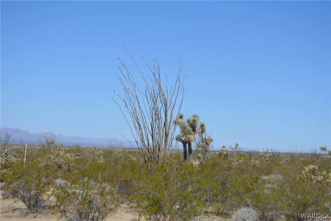 Lot K7 Cameron Road Yucca, AZ 86438 - Photo 3 of 23