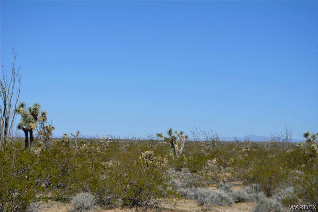 Lot K7 Cameron Road Yucca, AZ 86438 - Photo 4 of 23