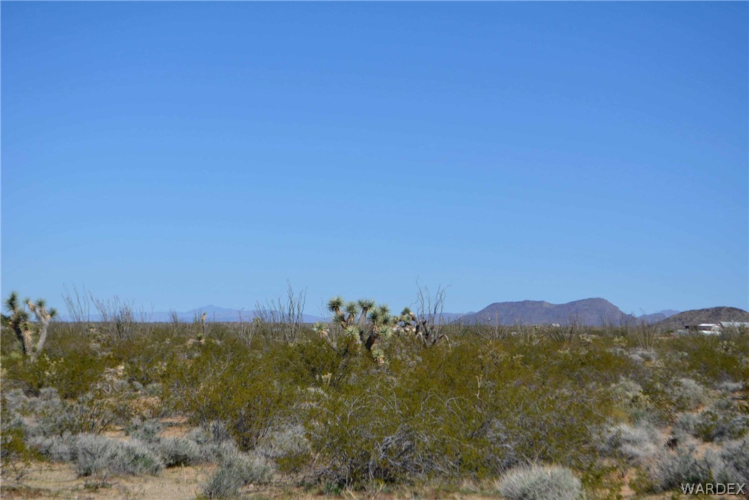 Lot K7 Cameron Road Yucca, AZ 86438 - Photo 5 of 23