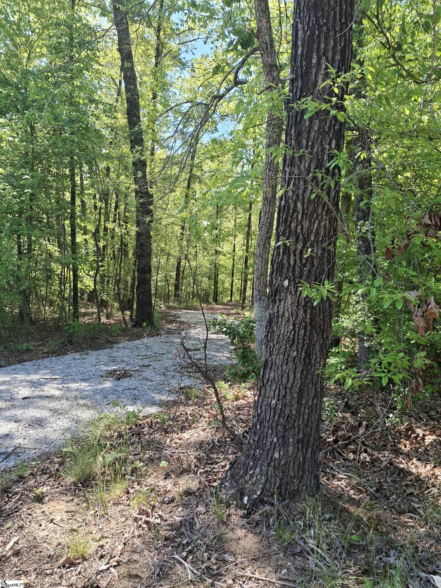 523 Flat Shoals Road Walhalla, SC 29691 - Photo 2 of 13