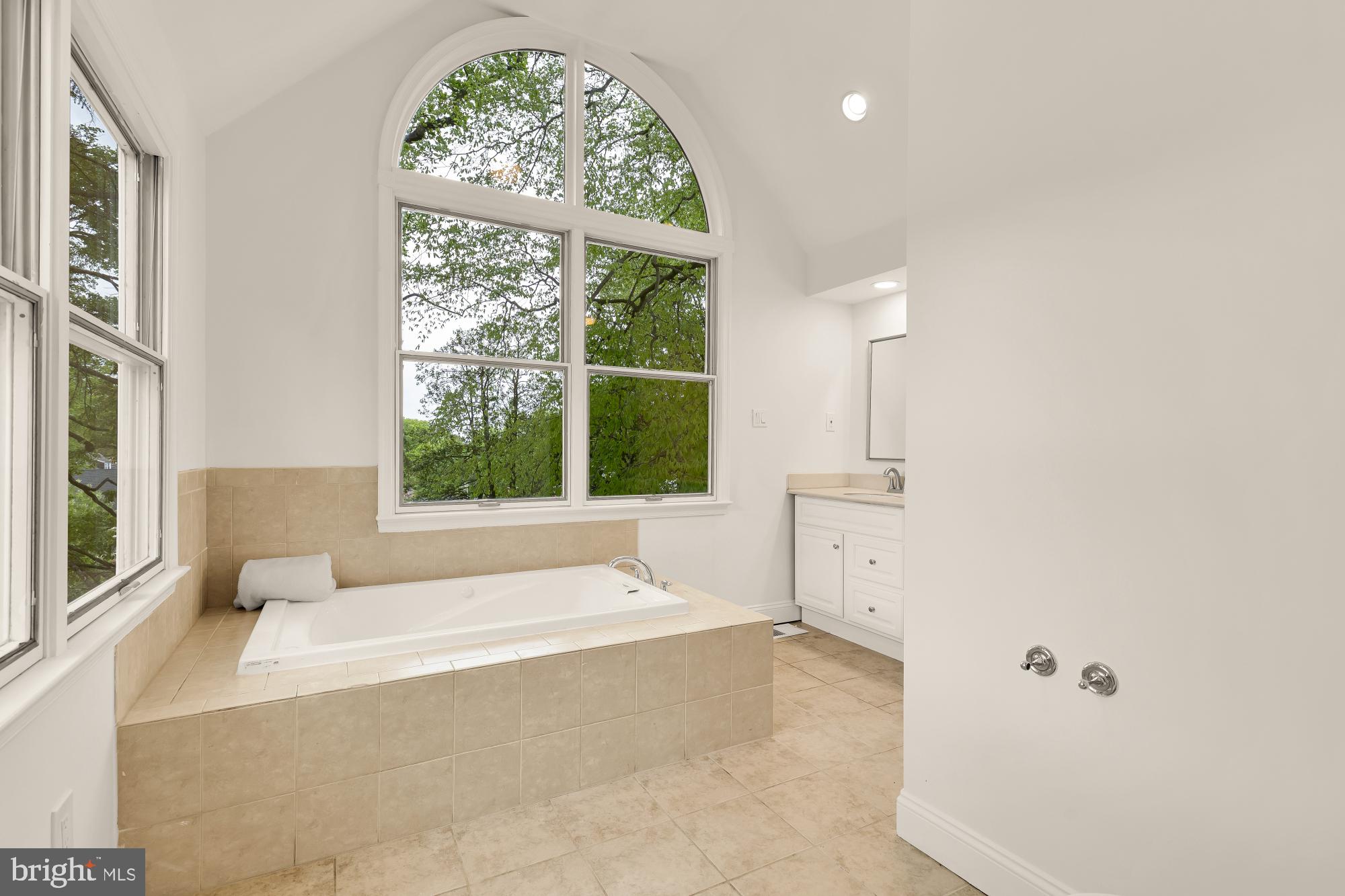7918 13th Street Northwest Washington, DC 20012 - Photo 21 of 54 Primary bathroom with leafy views and great light