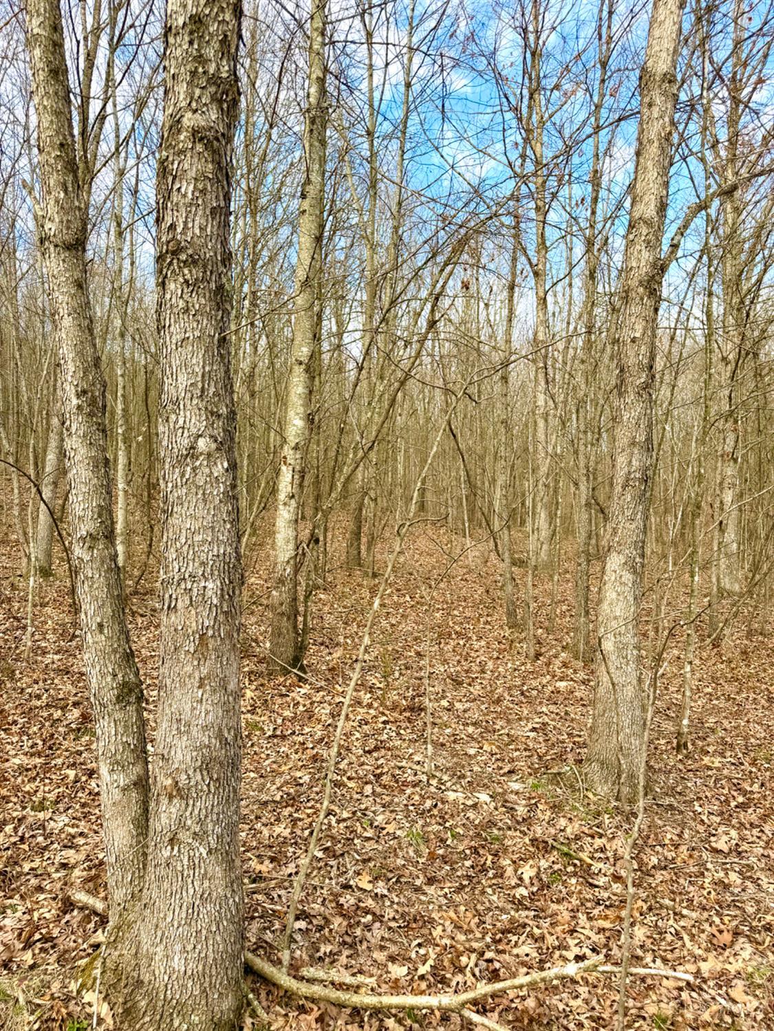0 Fyffe Hollow Road Chillicothe, OH 45601 - Photo 54 of 96