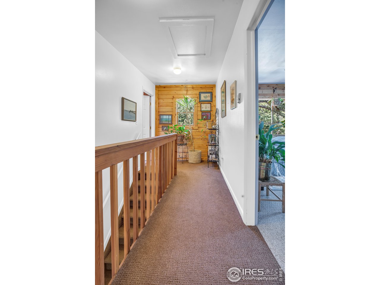 92 Tilghman Road Ward, CO 80481 - Photo 14 of 31 a view of a hallway with wooden floor and windows