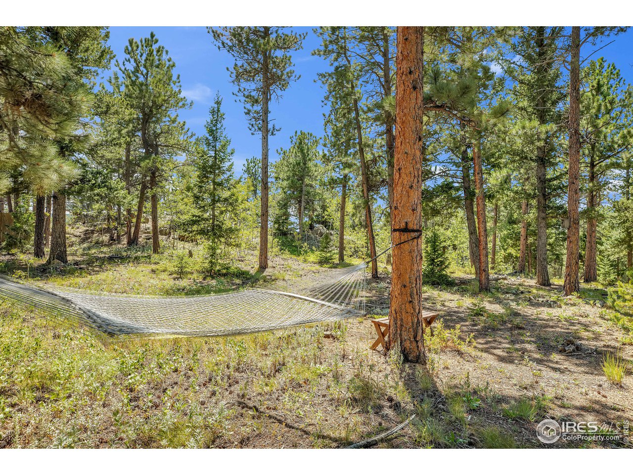 92 Tilghman Road Ward, CO 80481 - Photo 23 of 31 a view of a outdoor space