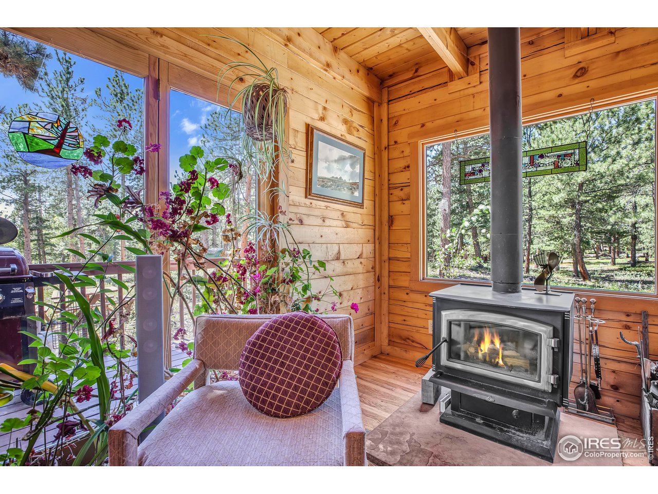 92 Tilghman Road Ward, CO 80481 - Photo 4 of 31 a living room with furniture and a potted plant