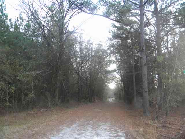 400 Burton Waterloo, SC 29384 - Photo 12 of 17