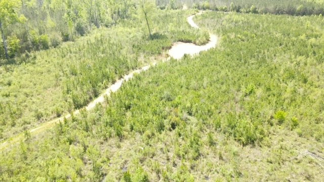 7075 Martinsville Road Wesson, MS 39191 - Photo 11 of 64 Photo 11