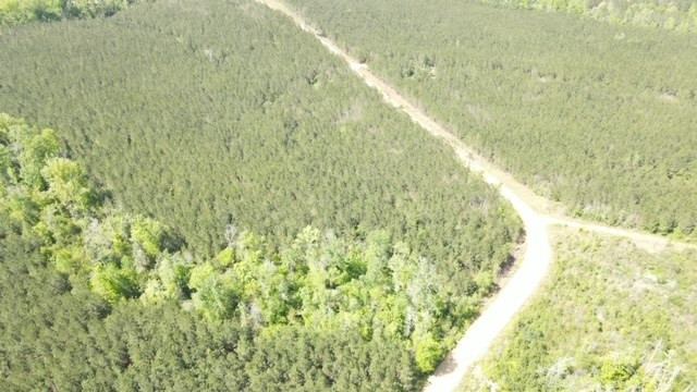 7075 Martinsville Road Wesson, MS 39191 - Photo 13 of 64 Photo 13