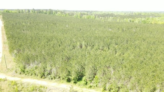 7075 Martinsville Road Wesson, MS 39191 - Photo 15 of 64 Photo 15