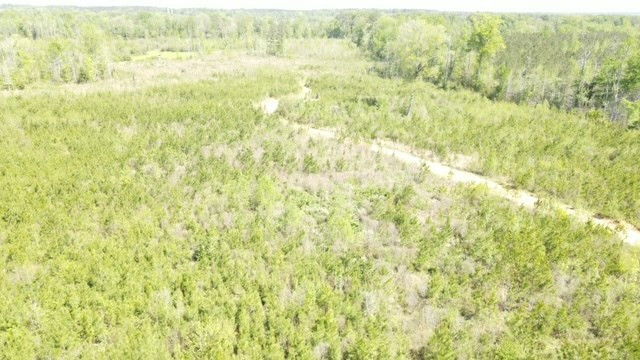 7075 Martinsville Road Wesson, MS 39191 - Photo 17 of 64 Photo 17