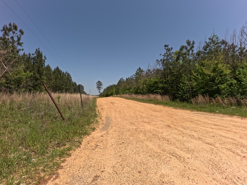 7075 Martinsville Road Wesson, MS 39191 - Photo 18 of 64 Photo 18