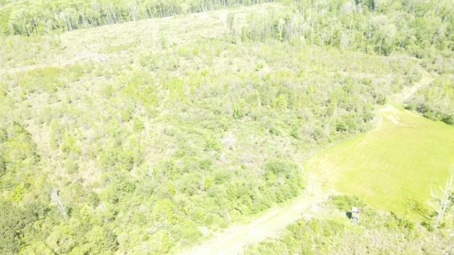 7075 Martinsville Road Wesson, MS 39191 - Photo 19 of 64 Photo 19