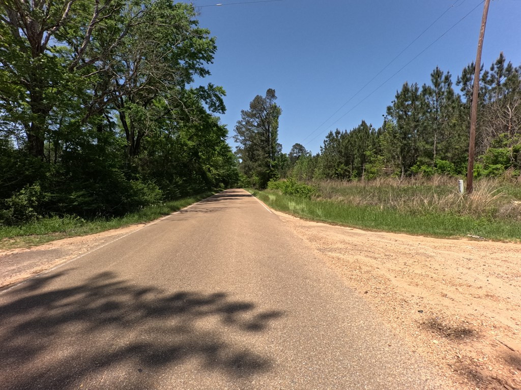 7075 Martinsville Road Wesson, MS 39191 - Photo 20 of 64 Photo 20