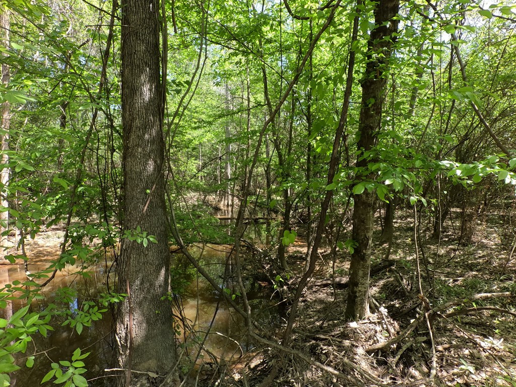 7075 Martinsville Road Wesson, MS 39191 - Photo 2 of 64 Photo 2
