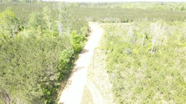 7075 Martinsville Road Wesson, MS 39191 - Photo 21 of 64 Photo 21